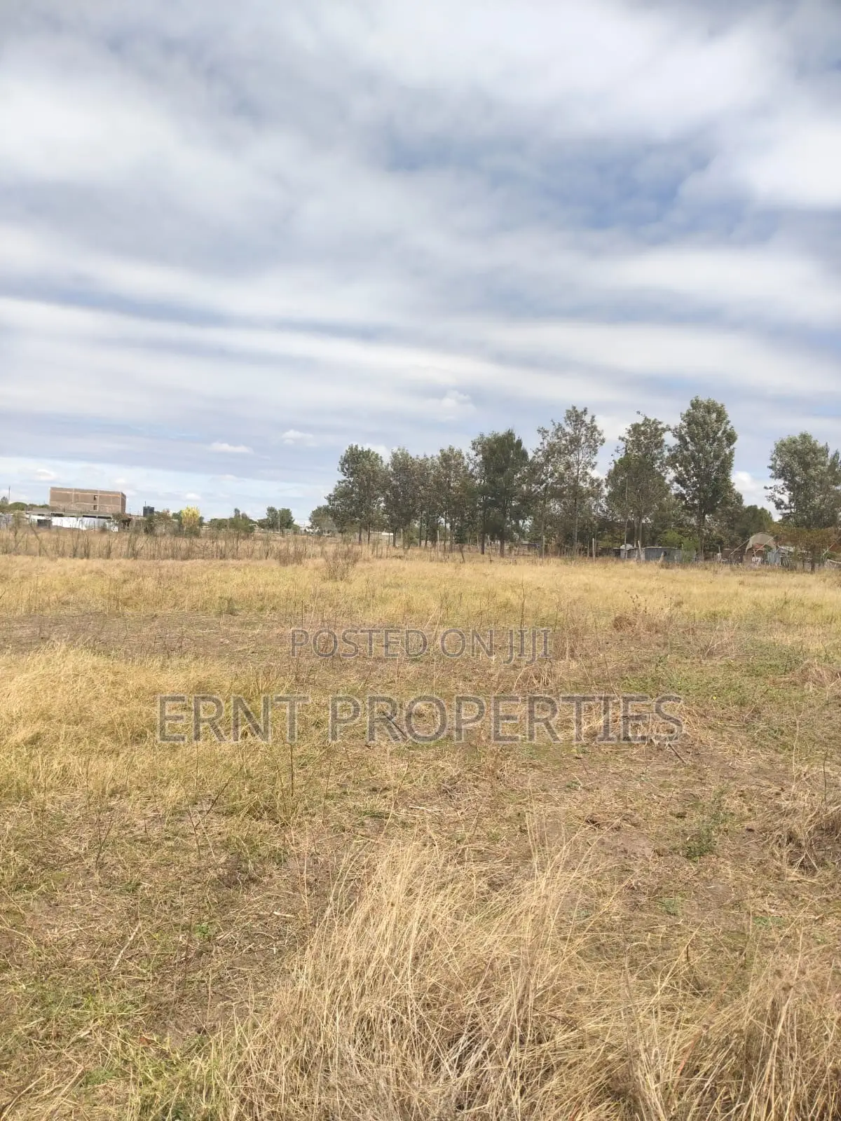 Lucky Base, Kitengela Korompoi 50 by 100 