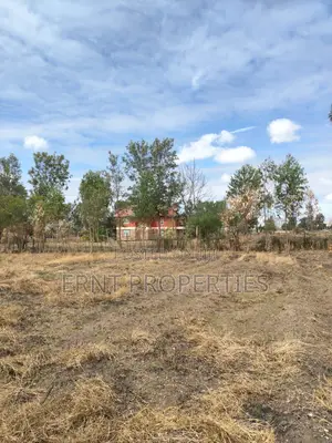 Lucky Base, Kitengela Korompoi 50 by 100 