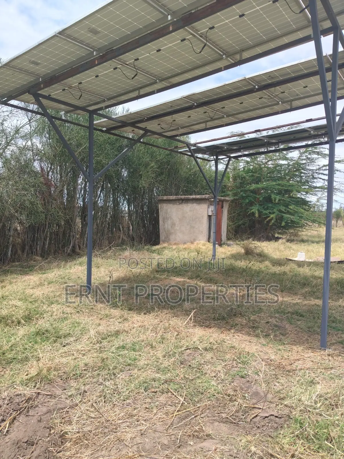 Lucky Base, Kitengela Korompoi 50 by 100 