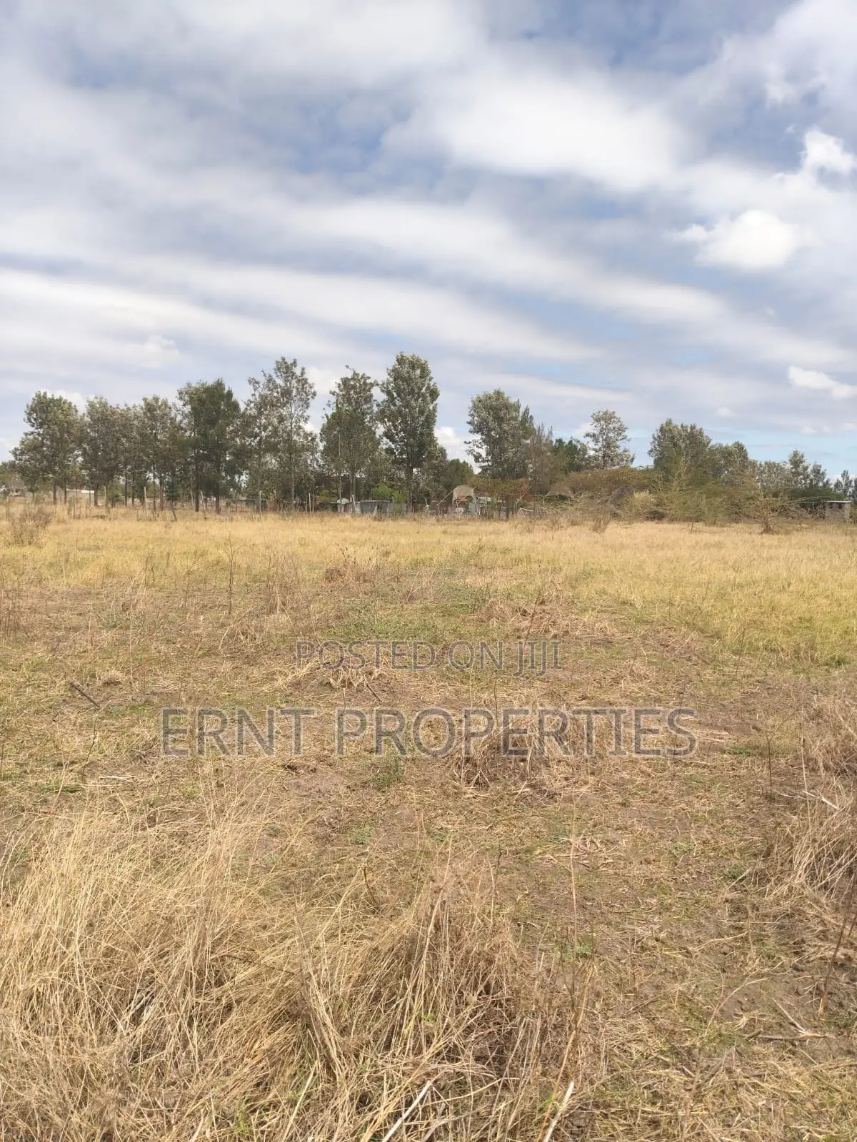 Lucky Base, Kitengela Korompoi 50 by 100 