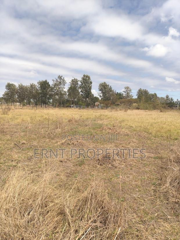 Lucky Base, Kitengela Korompoi 50 by 100  - thumbnail 14