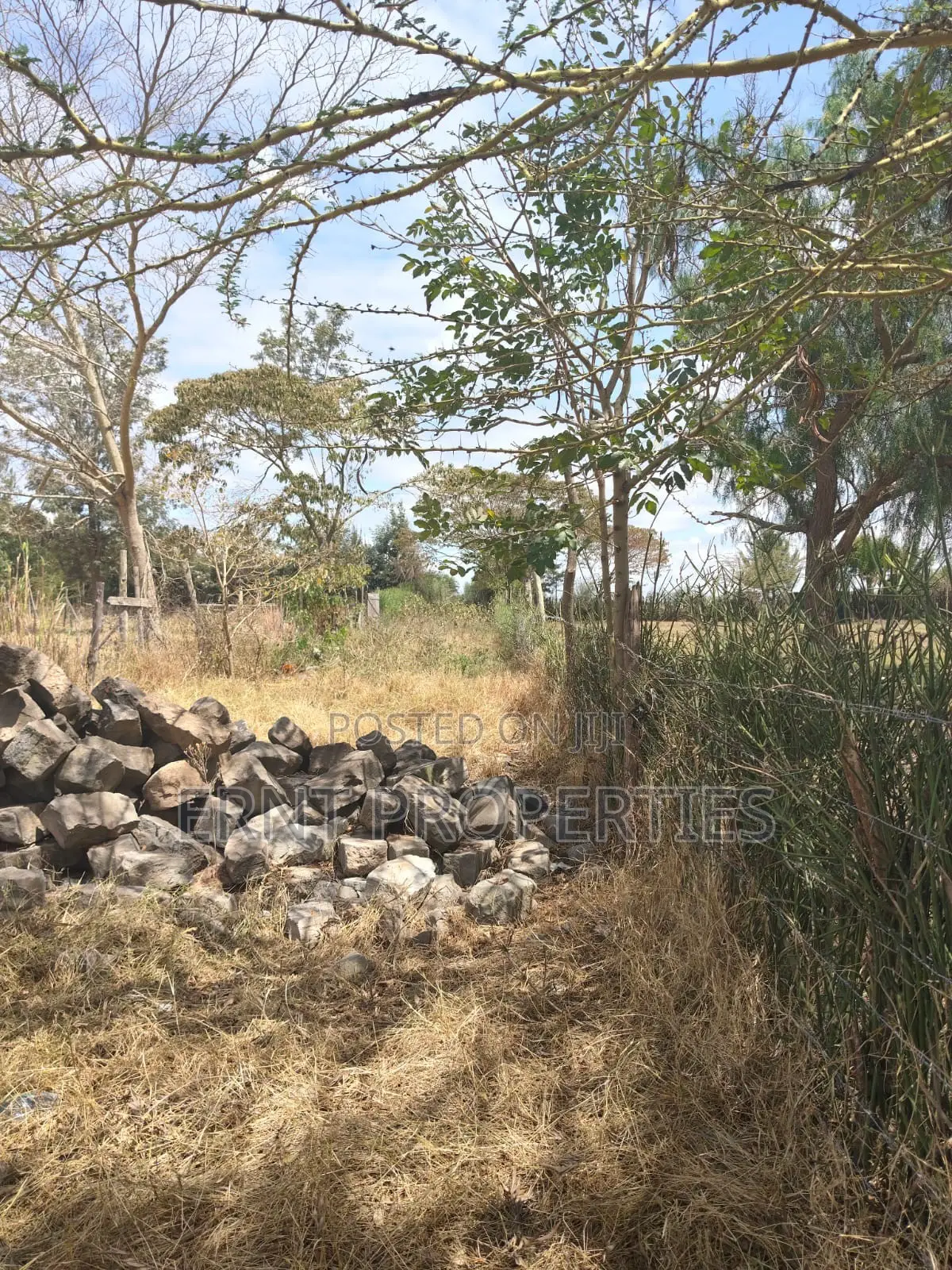 Lucky Base, Kitengela Korompoi 50 by 100 