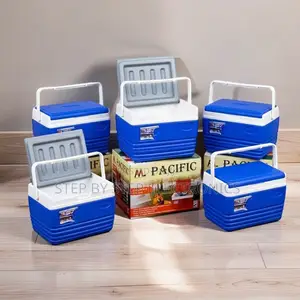 Versatile Multipurpose 4.5L Handheld Portable Cooler Box Ice Box