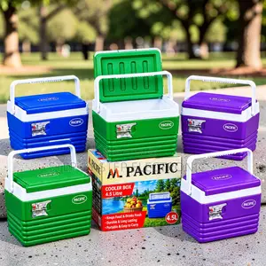 Reusable Eco-Friendly 4.5L Handheld Portable Cooler Box Ice Box