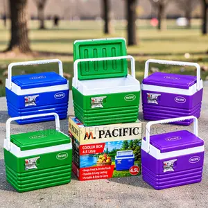 Sleek Premium-Finish 4.5L Handheld Portable Cooler Box Ice Box
