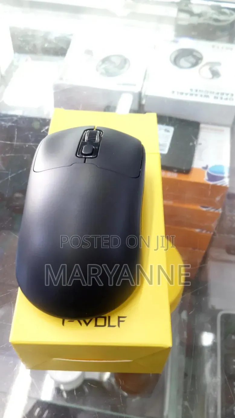 Dual Mouse