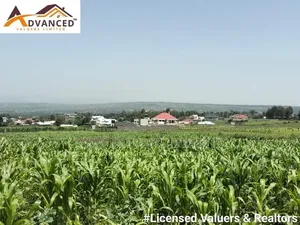 Splendor Gardens, Kiamunyi