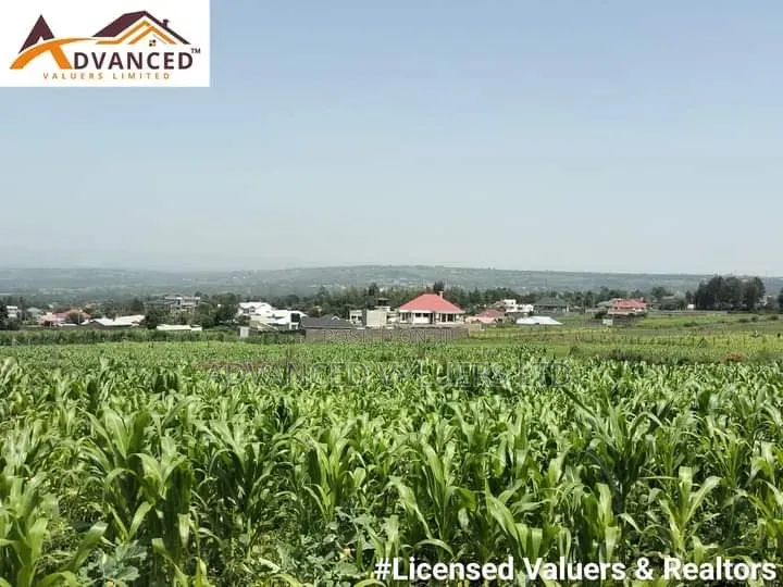 Splendor Gardens, Kiamunyi