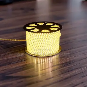 Ceiling Decor 50M Metres SMD Warm White Led Strip Light Snake Light