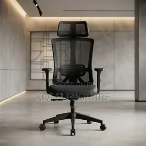 Office Chairs; Lamar Adjustable Lumabar Support Ergonomic Chair