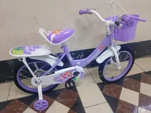 Girls’ Purple BMX Bicycle With Training Wheels Front Basket Size 16