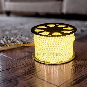Home Use 50M Metres SMD Warm White Led Strip Light Snake Light