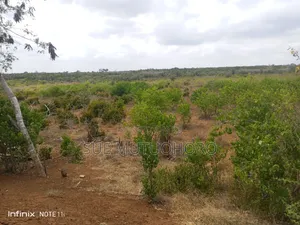 Zuri Gardens