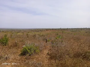 Zuri Gardens