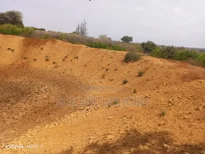 Zuri Gardens