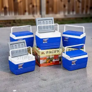 Heavy-Duty Reinforced 4.5L Handheld Portable Cooler Box Ice Box