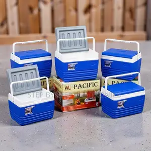 Rugged Built-to-Last 4.5L Handheld Portable Cooler Box Ice Box