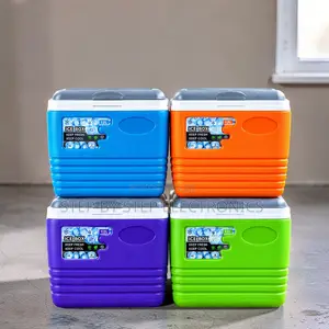 Hygienic Odor-Resistant 4.5L Handheld Portable Cooler Box Ice Box