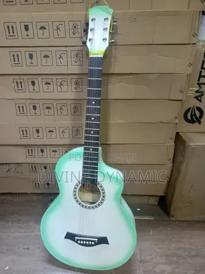 Semi Accostic Guitar