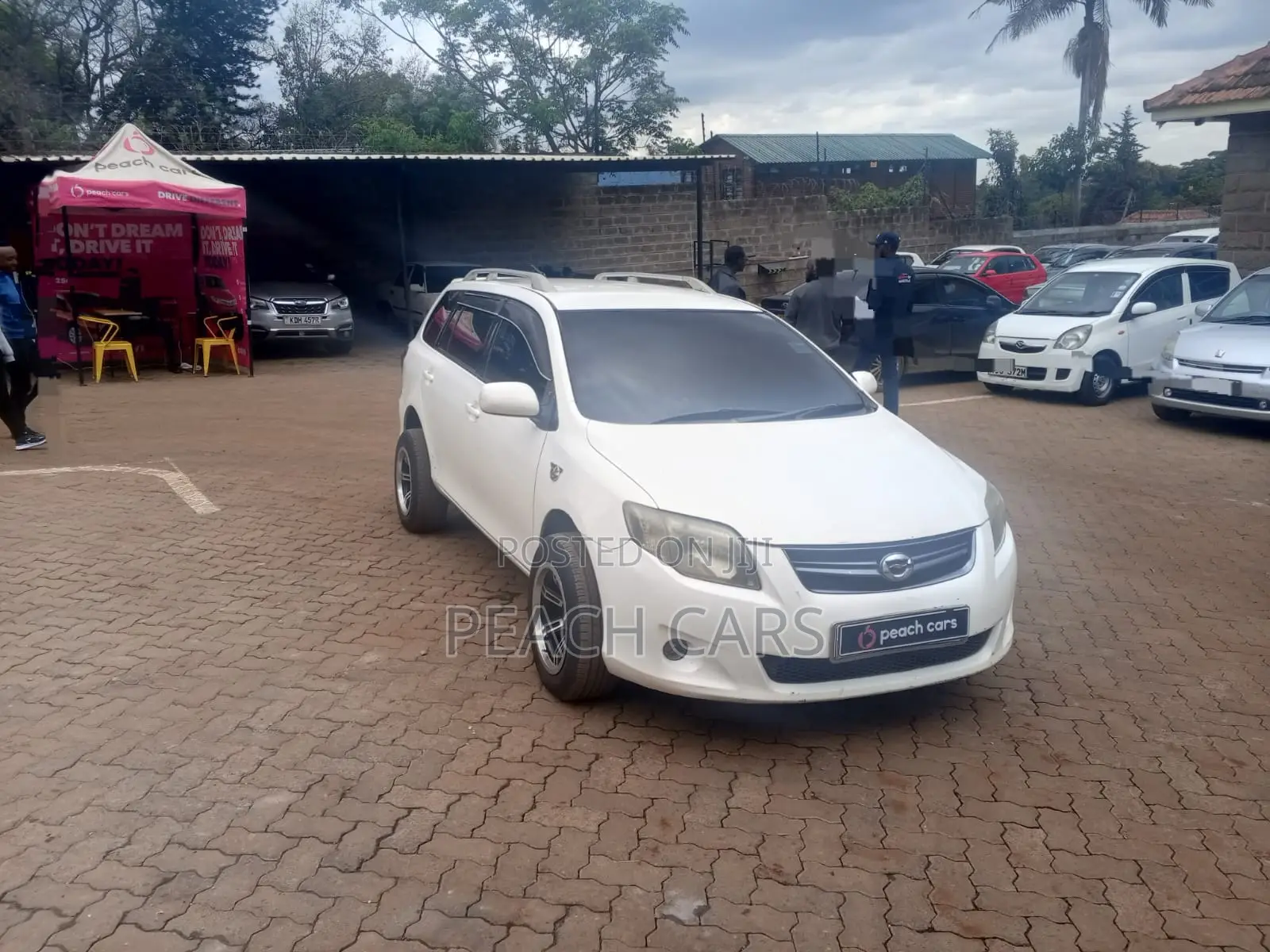 Toyota Corolla Fielder 2010 White