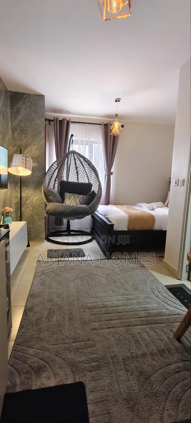Studio Unit Along Naivasha Road