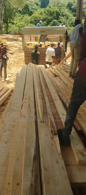 Discounted Woods Timber
