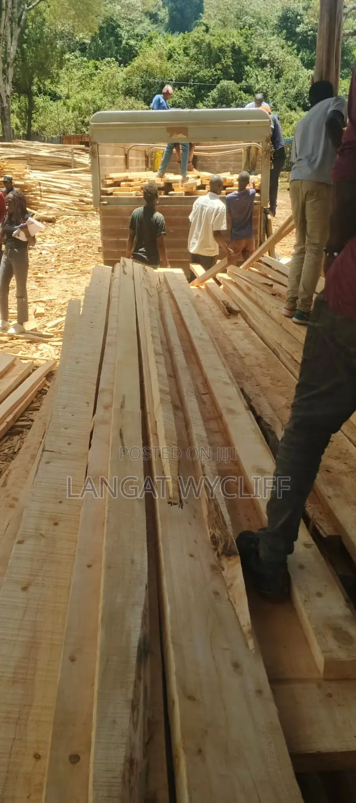 Discounted Woods Timber