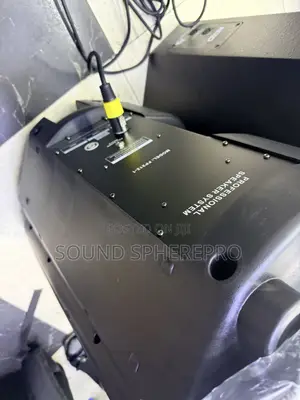 Soundking 12 Inch Mid Speaker