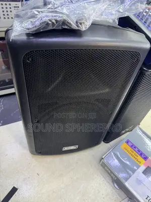 Soundking 12 Inch Mid Speaker