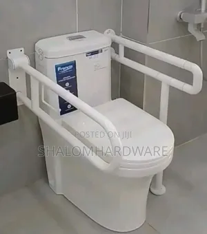 Disability Toilet