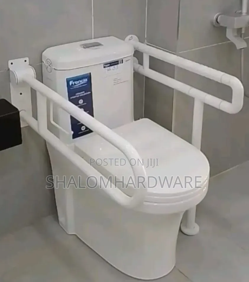 Disability Toilet