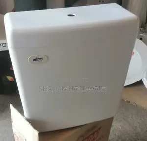 Automatic Cistern Urinals