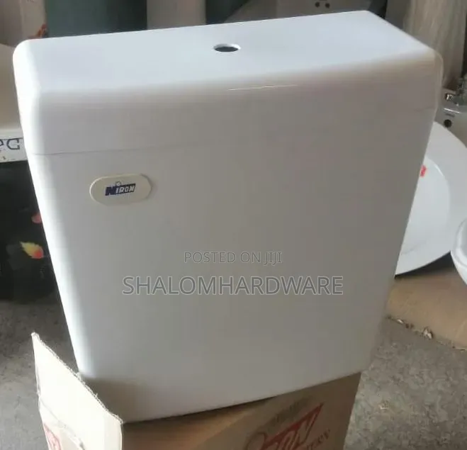Automatic Cistern Urinals