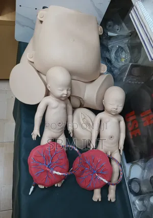 Child Birth Skills Stimulator Model
