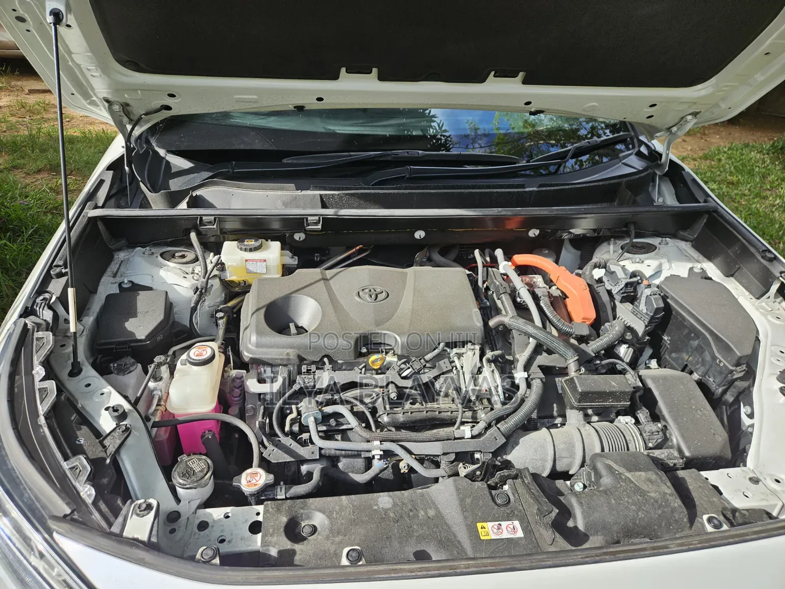 Toyota RAV4 Adventure AWD 2020 Pearl