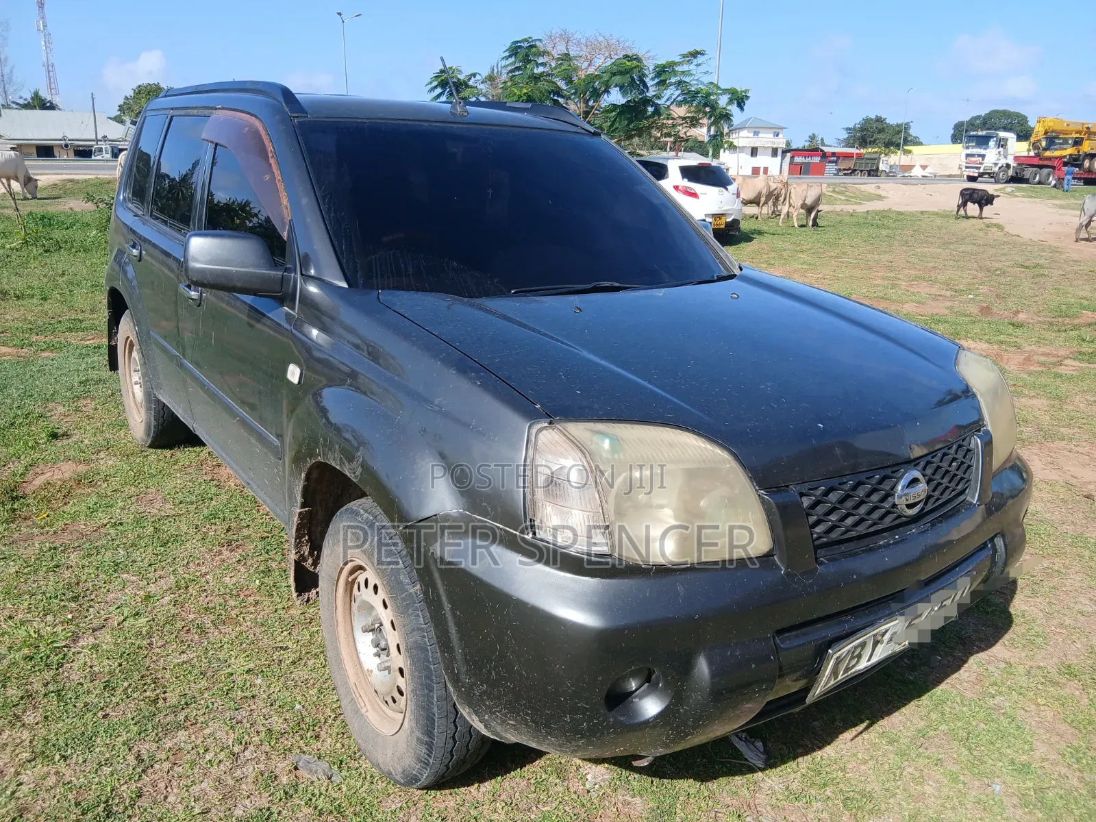 Nissan X-Trail 2007 Gray