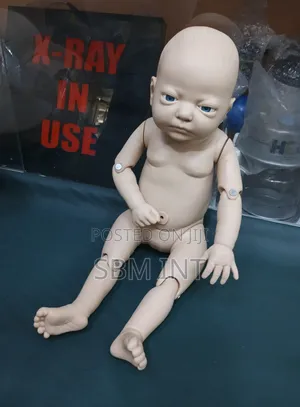 Neonatal Care Model