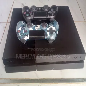 Sony PS4 Standard+2 Controllers