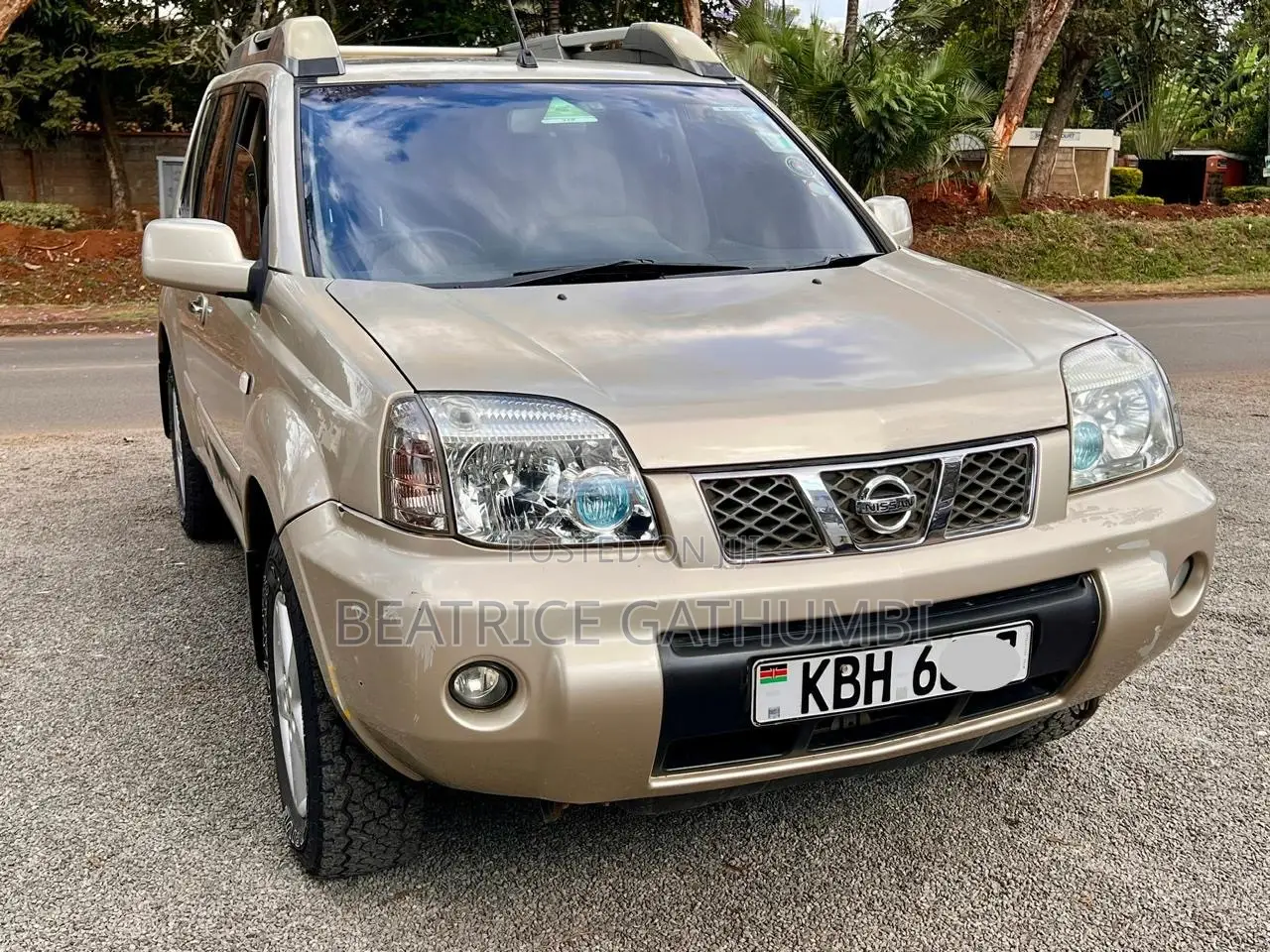 Nissan X-Trail 2009 Gold
