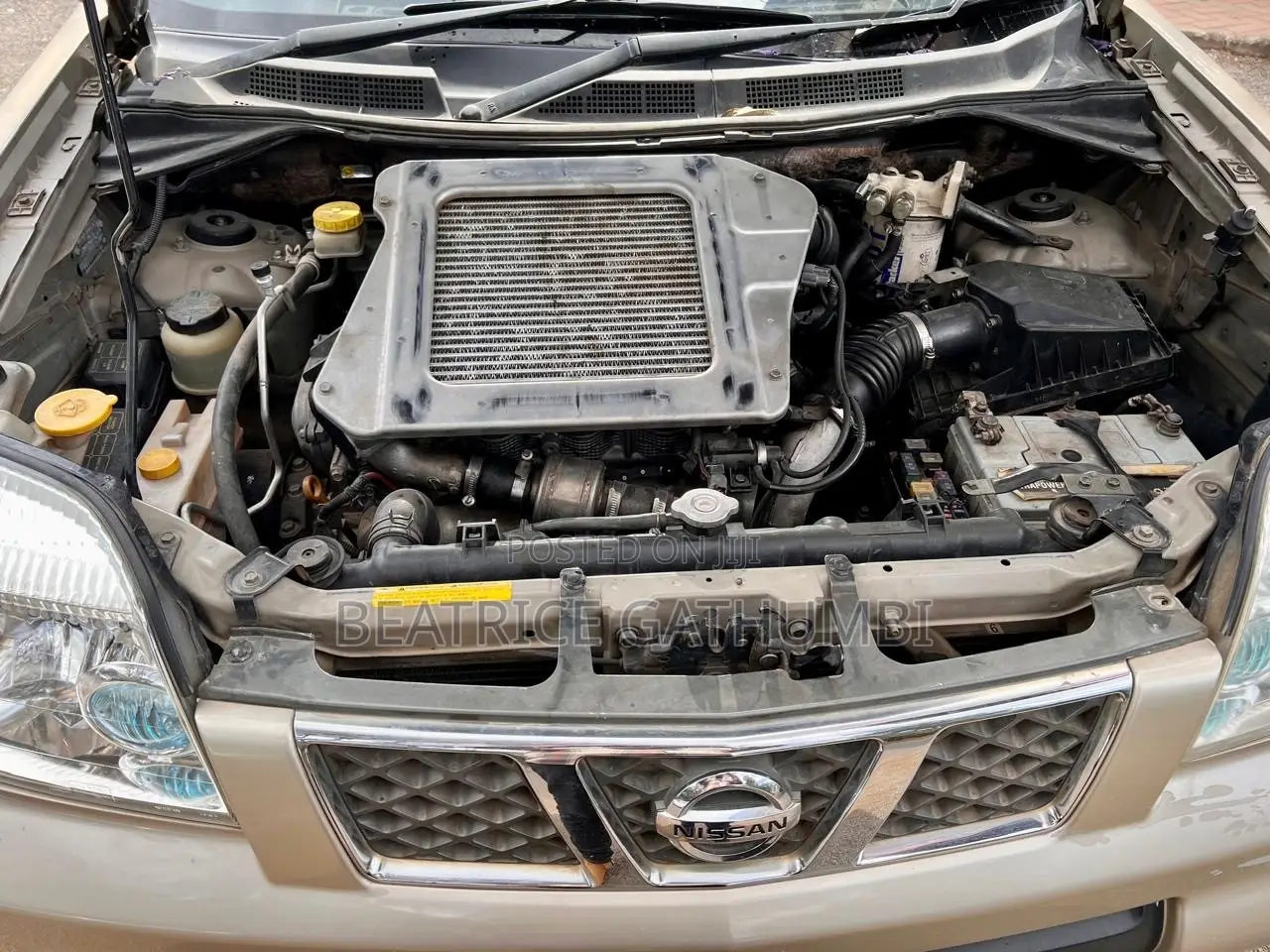 Nissan X-Trail 2009 Gold