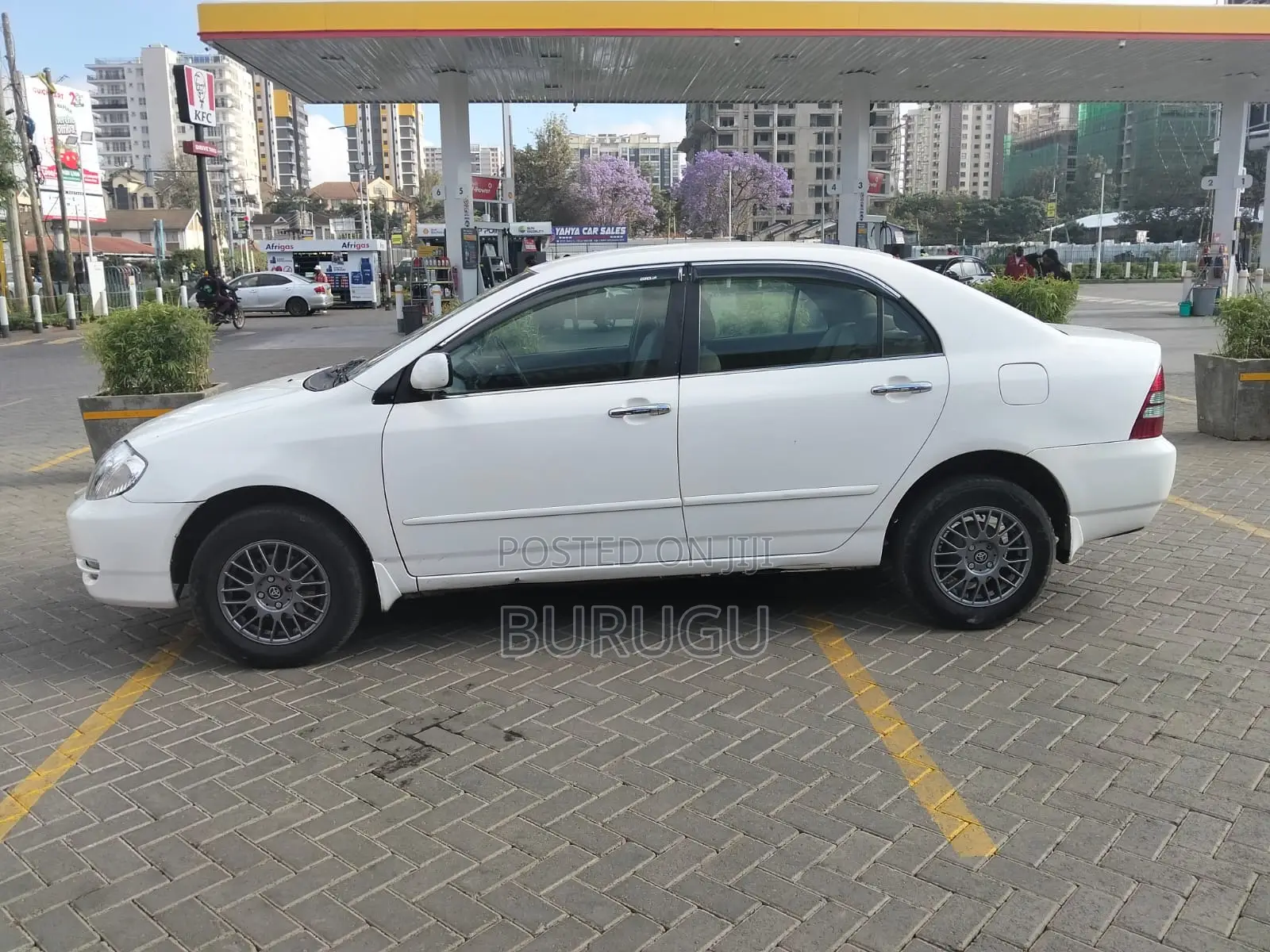 Toyota Corolla 2003 White