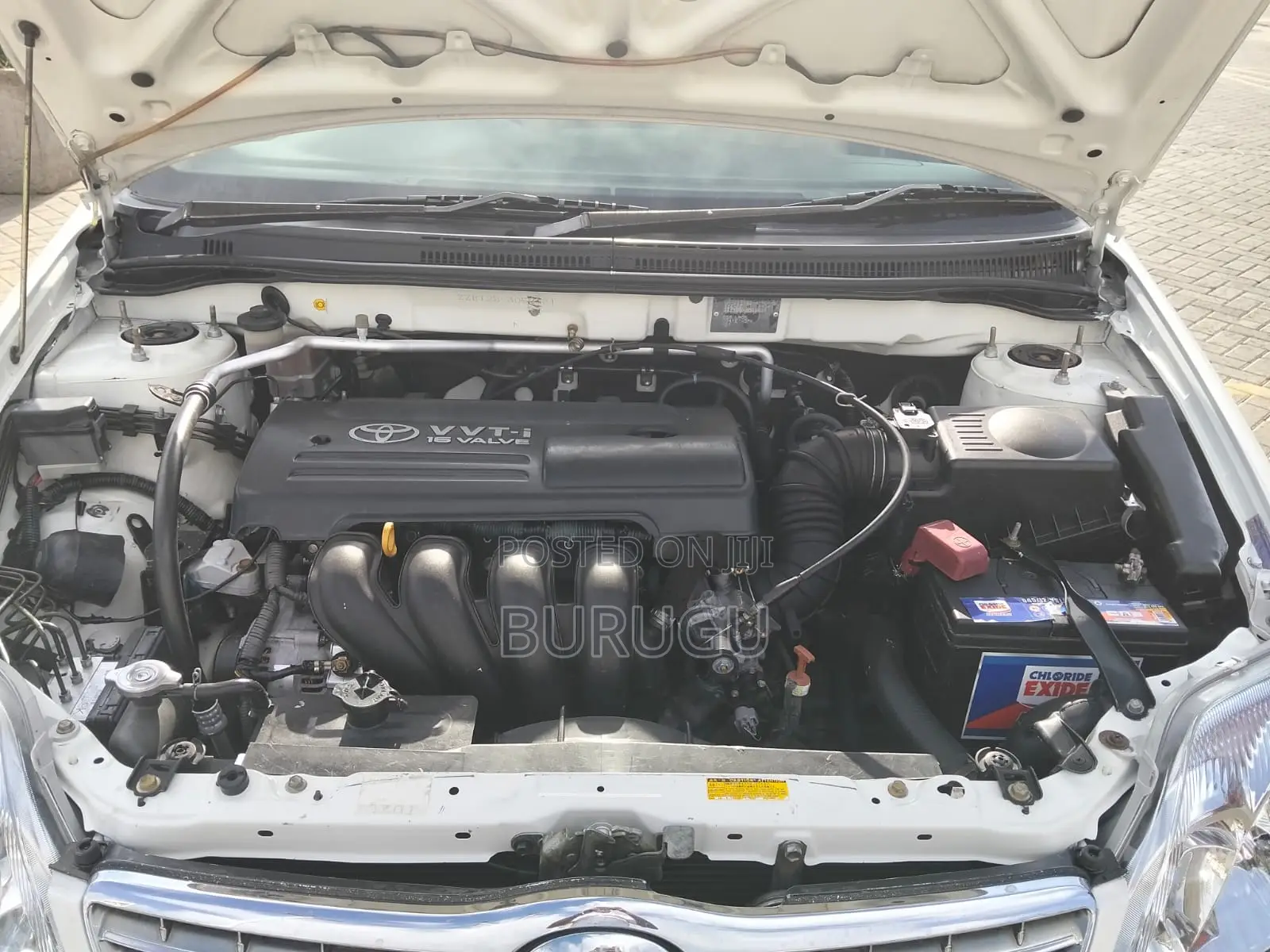 Toyota Corolla 2003 White