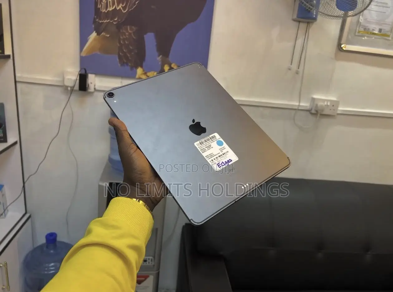 Apple iPad Pro 256 GB Gray