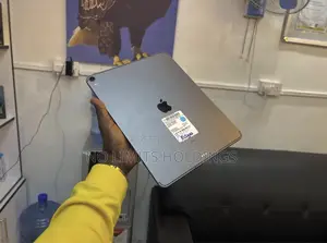 Apple iPad Pro 256 GB Gray