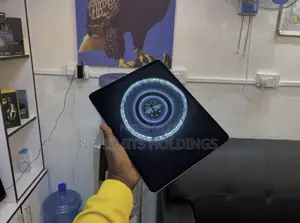 Apple iPad Pro 256 GB Gray
