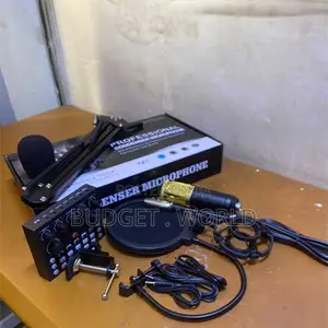 BM800 Professional Condenser Microphone With V8 Sound Card (Black)