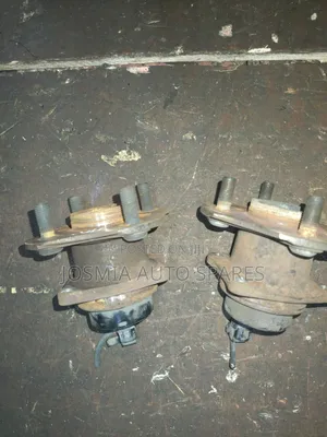 Toyota Fielder Rear Hub Bearing