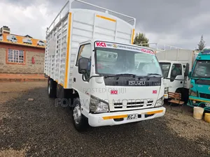 Clean Isuzu NQR