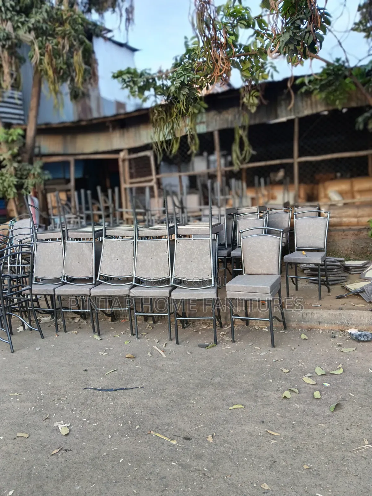 Restaurant Chairs