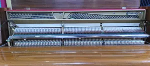 Acoustic Upright Piano